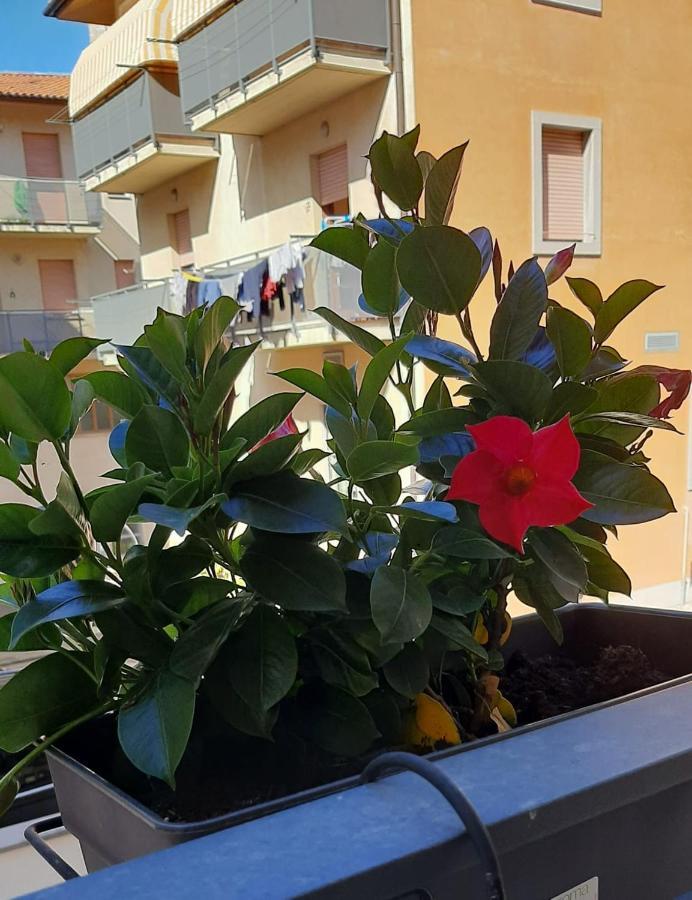 Delma'S Home San Daniele del Friuli Εξωτερικό φωτογραφία
